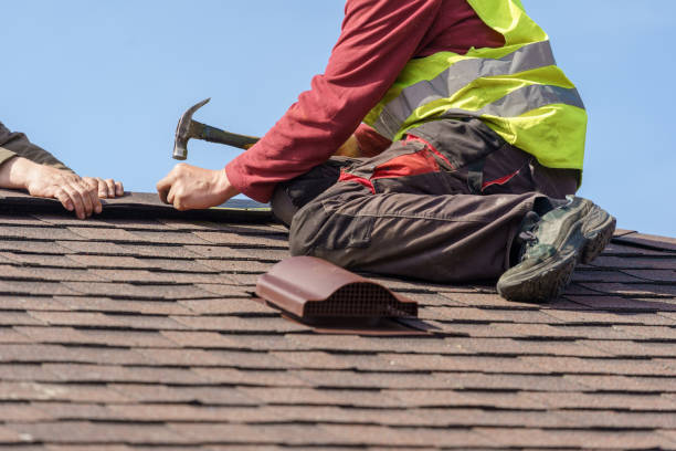 Best Roof Leak Repair  in Lake City, MN