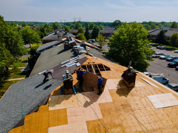 Roof Gutter Cleaning in Lake City, MN