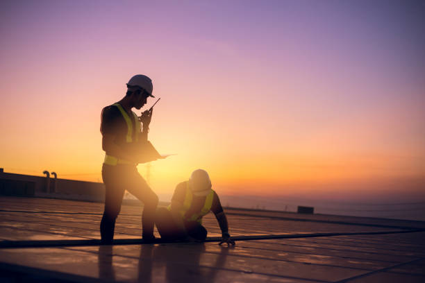 Professional Roofing Contractor in Lake City, MN
