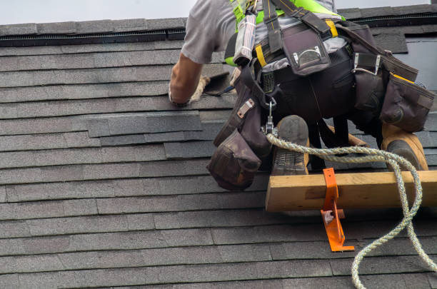 Quick and Trustworthy Emergency Roof Repair Services in Lake City, MN