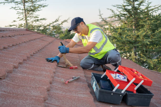 Best Roof Maintenance Services  in Lake City, MN