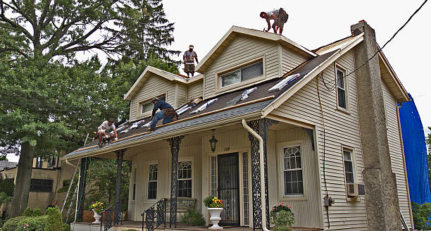Best Storm Damage Roof Repair  in Lake City, MN