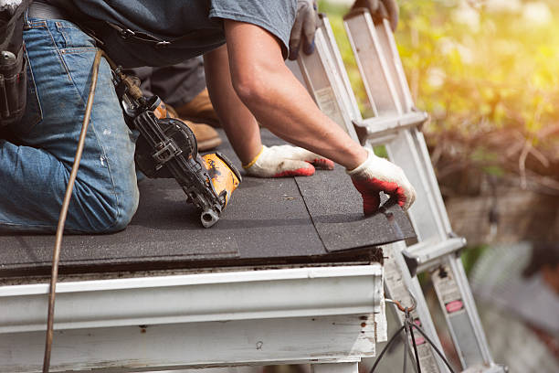 Best Commercial Roofing Services  in Lake City, MN