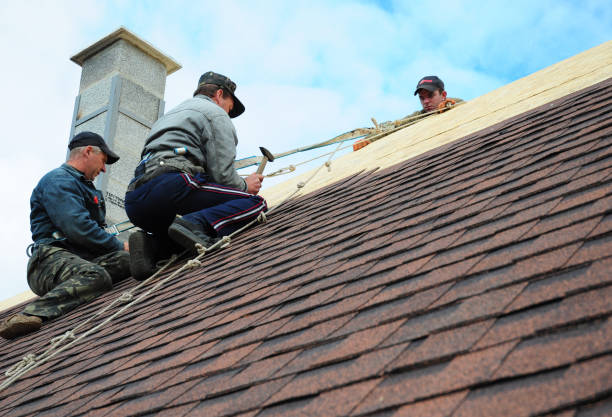 Roof Repair Estimates in Lake City, MN
